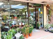 「さむ川生花店」　（北海道苫小牧市）の花屋店舗写真1