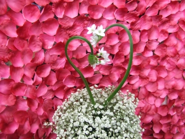 北海道苫小牧市の花屋 さむ川生花店にフラワーギフトはお任せください 当店は 安心と信頼の花キューピット加盟店です 花キューピットタウン
